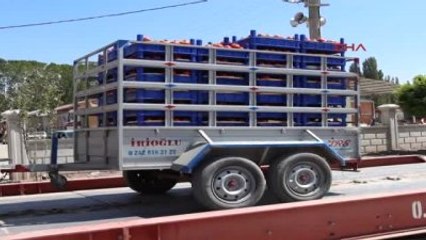 Burdur - Söğüt'te Domates Üretimi Artıyor