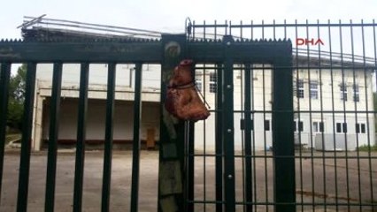 Almanya'da Camiye Domuz Kafası Astılar