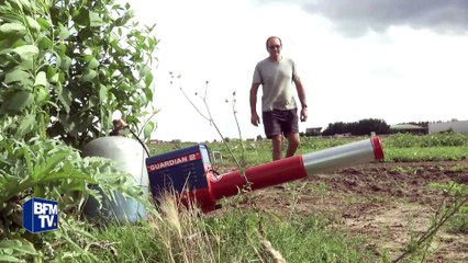 Val d'Oise: des canons à gaz pour chasser pigeons et lapins des champs