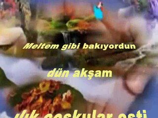 ŞİİR NEVİN KONUK SESLENDİREN  KLİP AYNUR AVCI