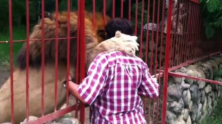 Funny Videos Of Funny Animals [NEW]