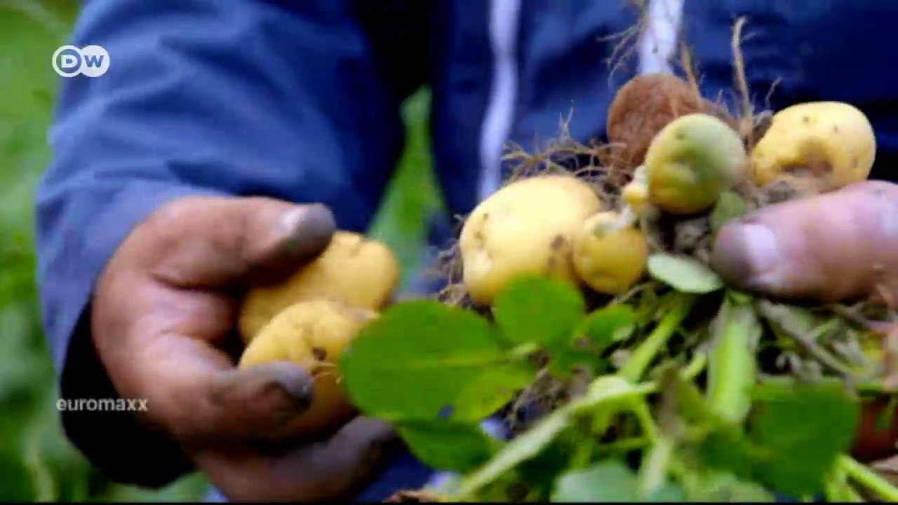 Delikatessen essen ... in Frankreich | Euromaxx