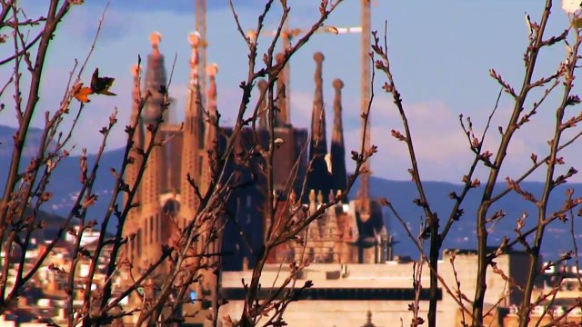 O15 HIVERN - inverno- spot SERIE DOC COLONIA B