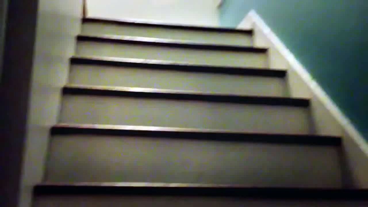 Magic Pug - The Stairs Are Lava