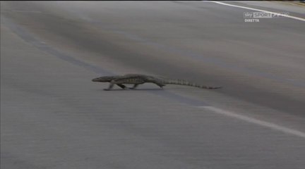 Max Verstappen e il piccolo Godzilla a Singapore