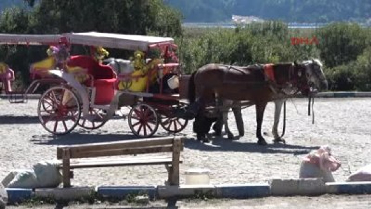 Bolu Abant'ta Sonbahar Güzelliği