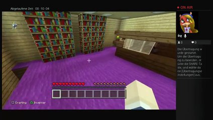 Minecraft streaming (8)