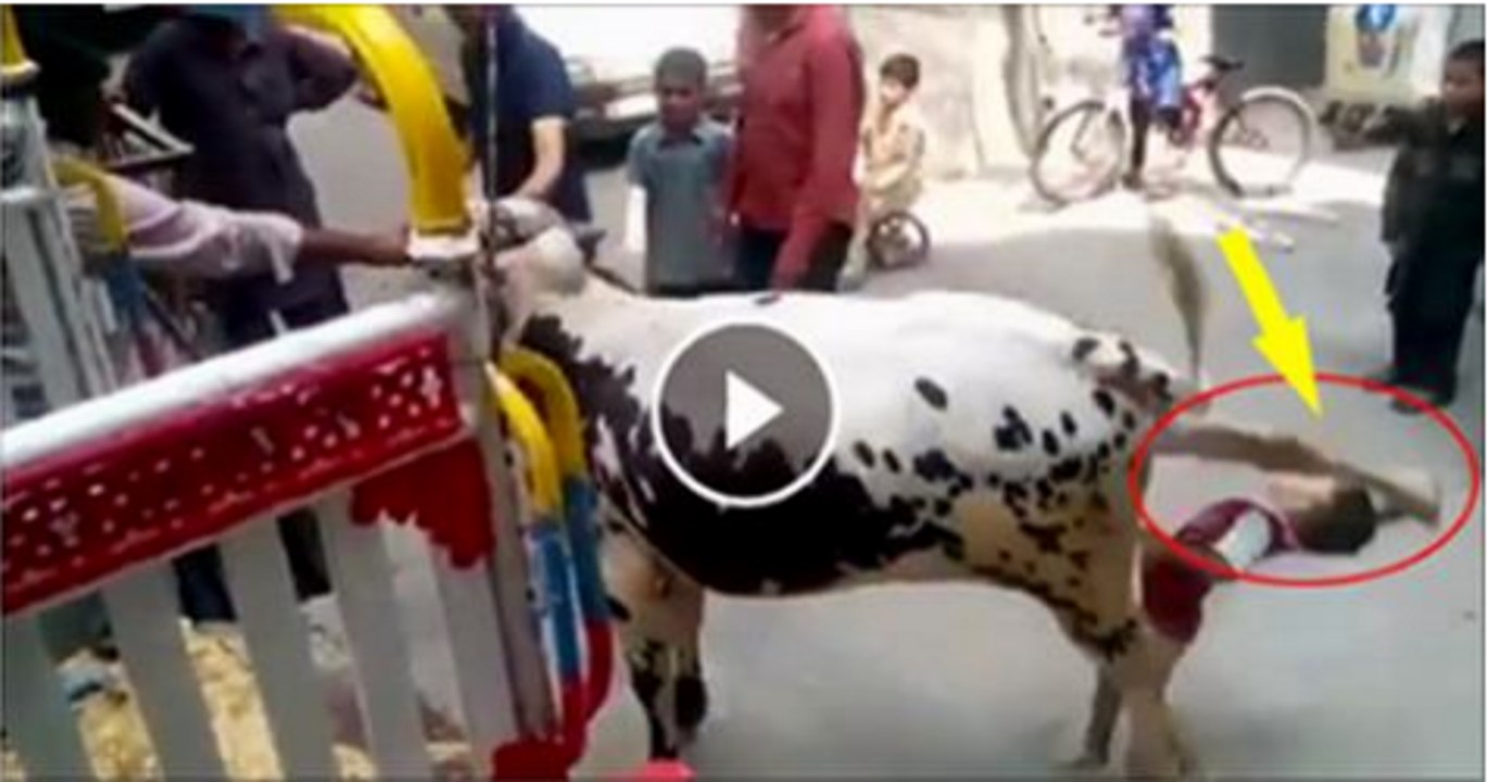 Bull Vs Man in Bazar