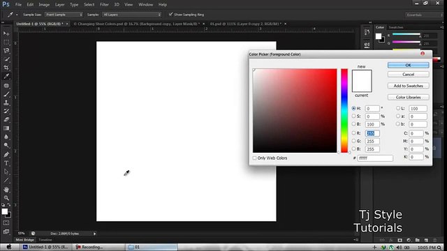 Brushes Painting Adobe photo shop video tutorial Part 05
