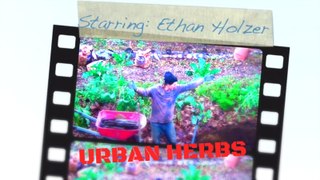 Urban Herbs Episode 1 Season 1