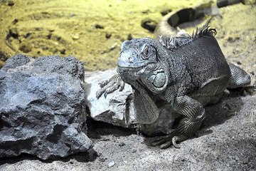 서울노래방알바『찜알바-검색』야시알바A포항bar알바A나비알바