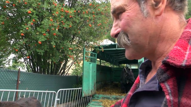 Présentations d'animaux, marché de producteurs locaux... La foire de la Saint-Mathieu et la Fête du Parc du Queyras