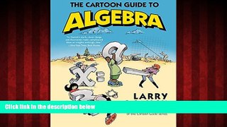For you The Cartoon Guide to Algebra (Cartoon Guide Series)