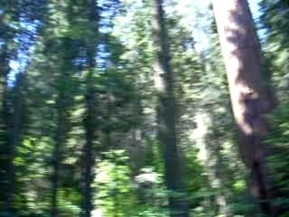 Driving up to camp site
