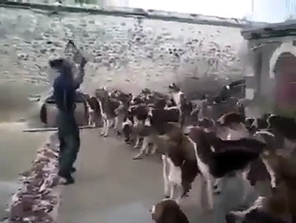 Yok Canım Daha Neler..
