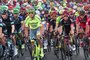 Cyclisme - Eneco Tour 2016 - Zoom sur les 10 favoris de la 12e édition