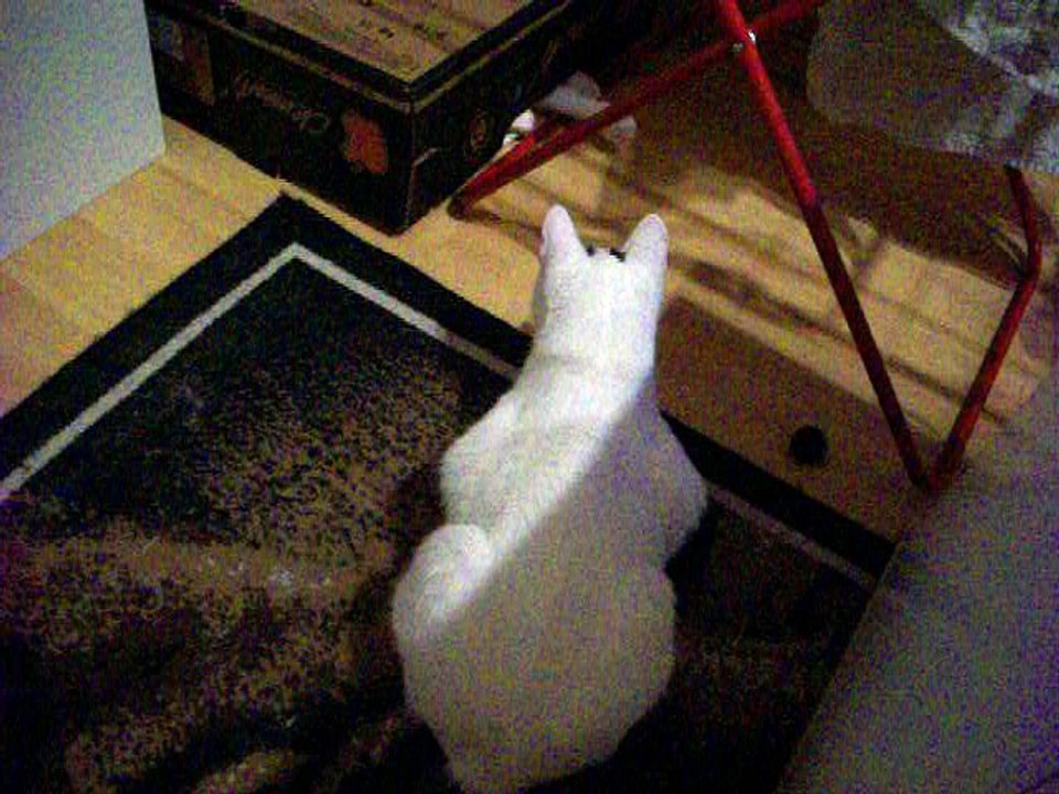 Harvey und Vinzent am 17.09.2016