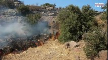 Bodrum'un tarihi tepesi yandı | Haber Videoları
