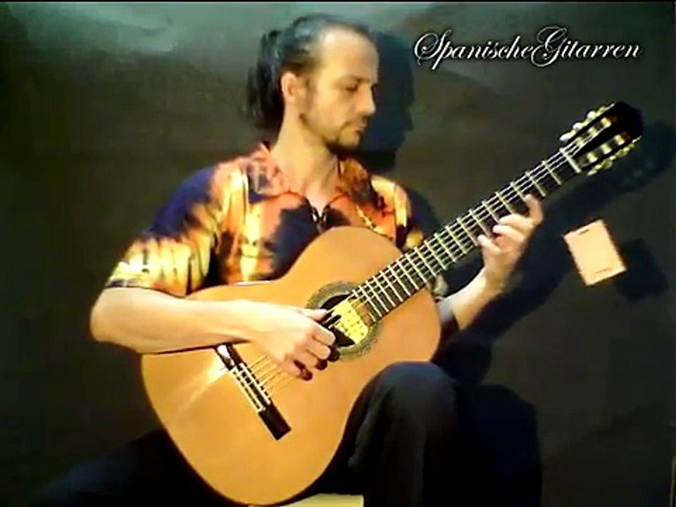 Guitarra Raimundo Modelo 131 Ziricote