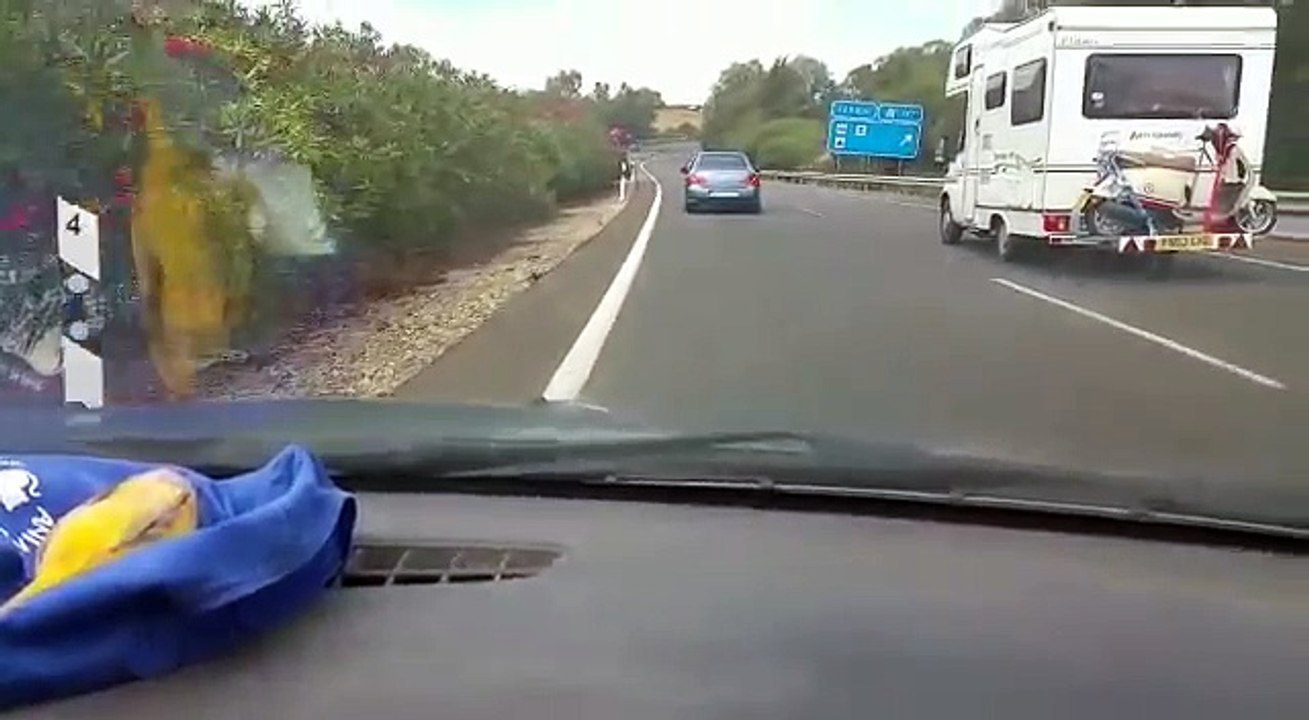 Perro abandonado persigue por kilómetros el auto de sus dueños