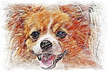 체리알바『찜알바』일급알바