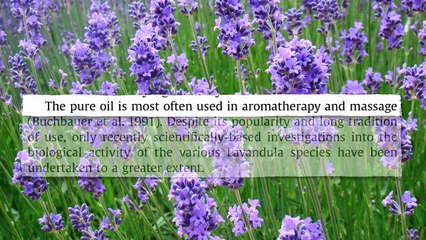 Lavender for Generalized Anxiety Disorder