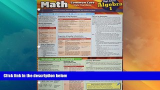 Big Deals  Math Common Core Algebra 1 9Th Grade  Free Full Read Most Wanted