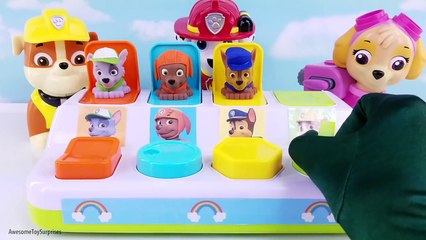 Paw Patrol Pop Up Pals Toy Surprises Best Kid Video for Learning Colors