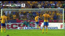 Resumen del Partido Tigres 2 - 1 Puebla Jornada 9 Apertura 2016