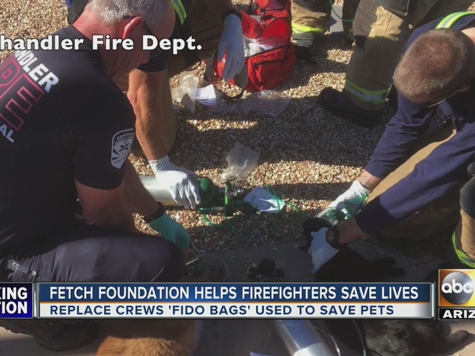 Foundation helps Valley firefighters save pets lives