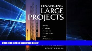 Big Deals  Financing Large Projects: Using Project Finance Techniques and Practices  Free Full