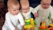 Cute Babies playing with toys