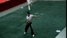 Human Mobile Stage No.16- HK Wushu Tournament (Golden Medal)