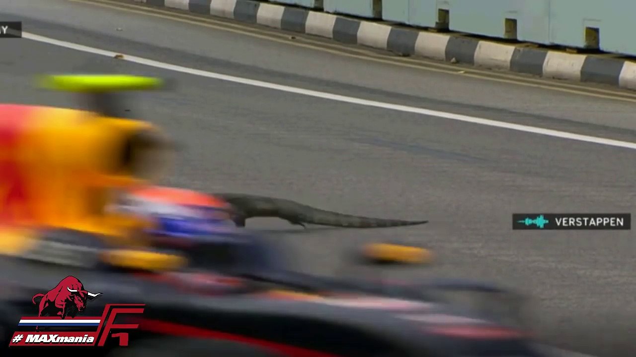 VN Singapur: Verstappen i gušter