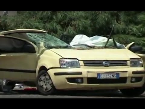 Video Napoli - Morta schiacciata da un albero, condannata agronoma del Comune (17.09.16)