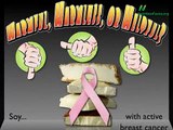 Soy & Breast Cancer Survival