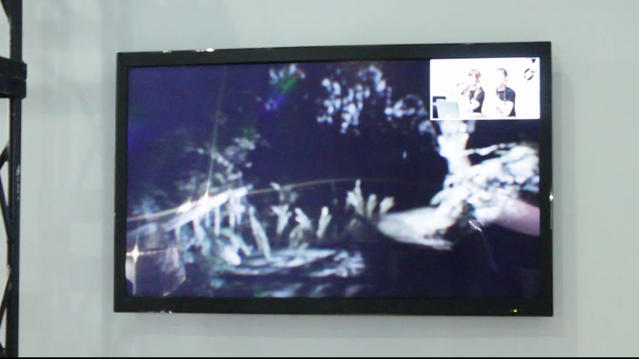 Resident Evil VII, gameplay TGS