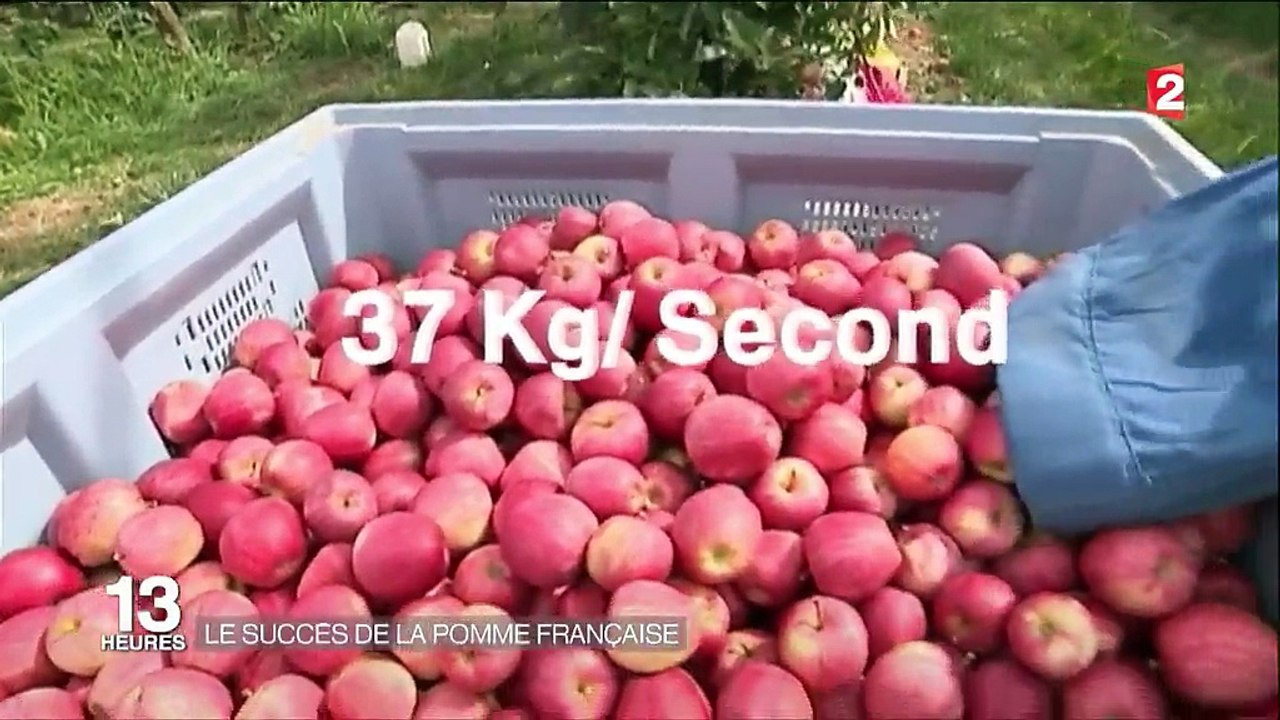 Le succès de la pomme française