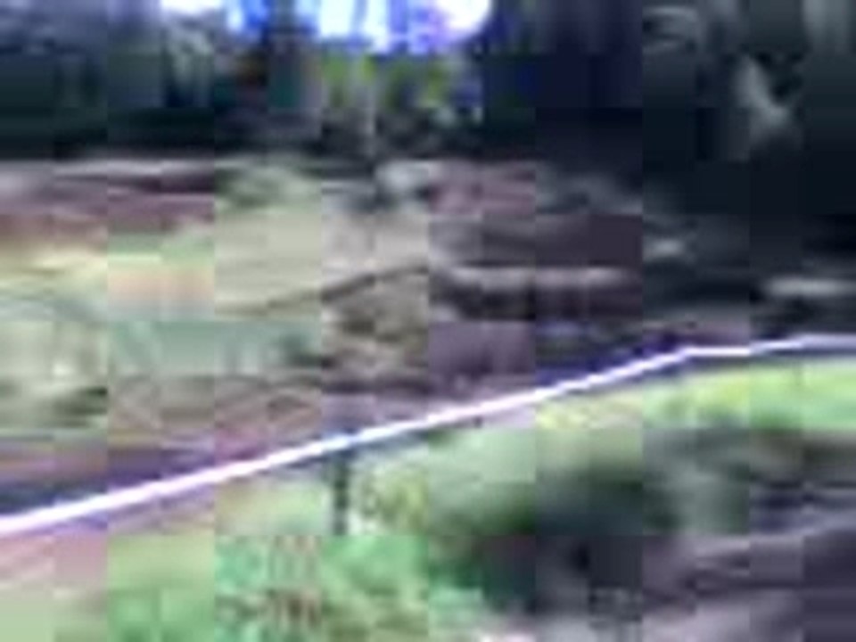moto cross