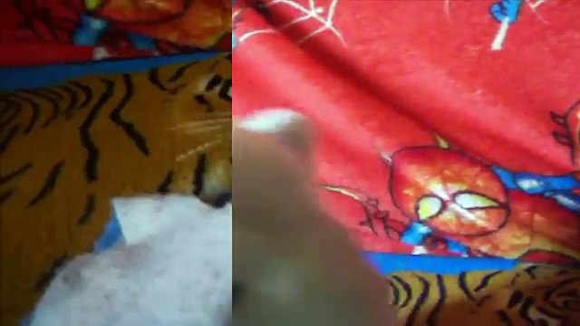 AS AVENTURAS DE SANDRO E NAVARRO-cúmplices de um resgate