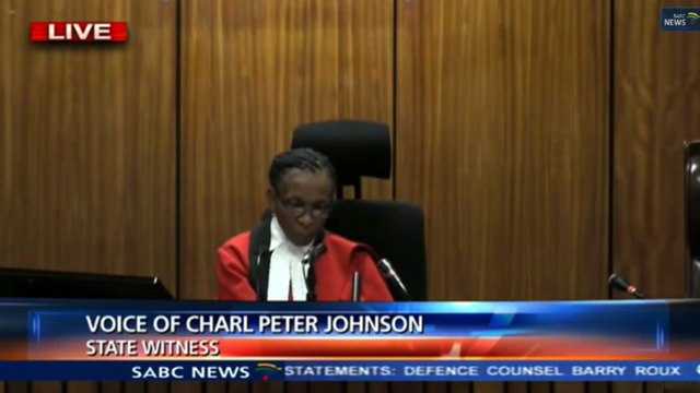 Oscar Pistorius' trial: Michelle Burger correctly heard Pistorius' pause after firing the first of four shots.