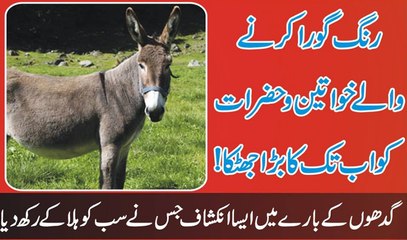 Rang Gora Karne Wali Khawateen Or Hazrat K Liye Ab Tak Ka Sab Se Bara Jhatka