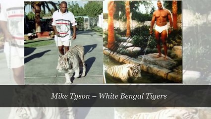 TOP 10 Of The Most Unique & unusual Celebrity Pets.