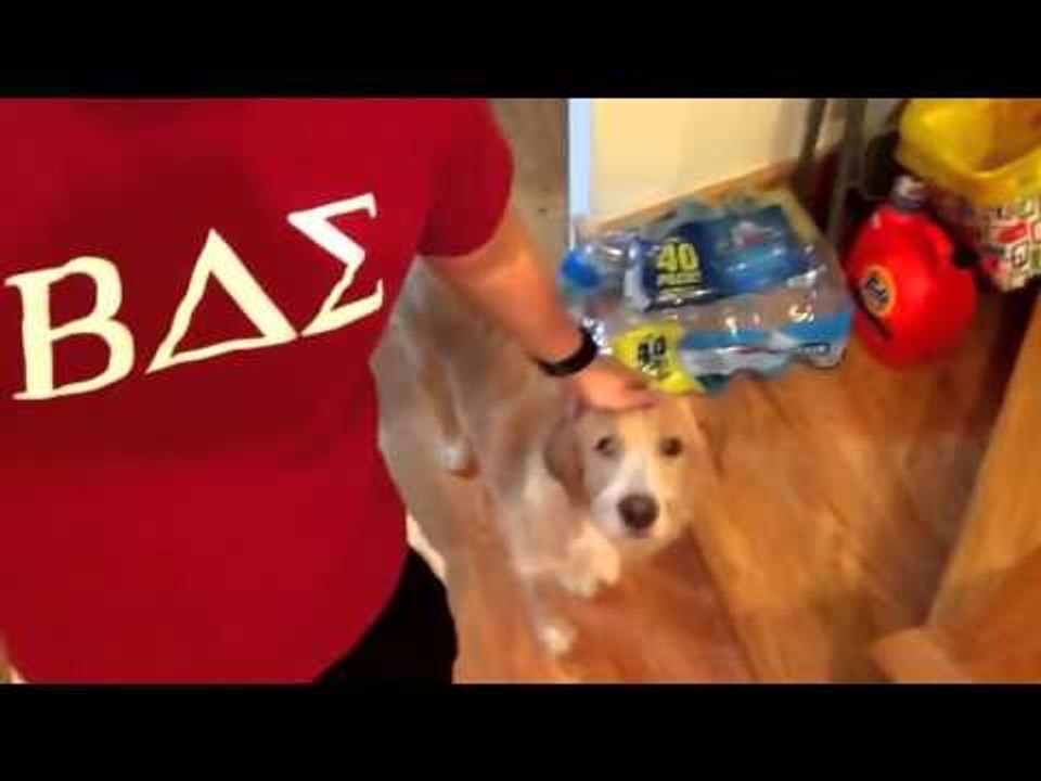 My First Vlog EVER