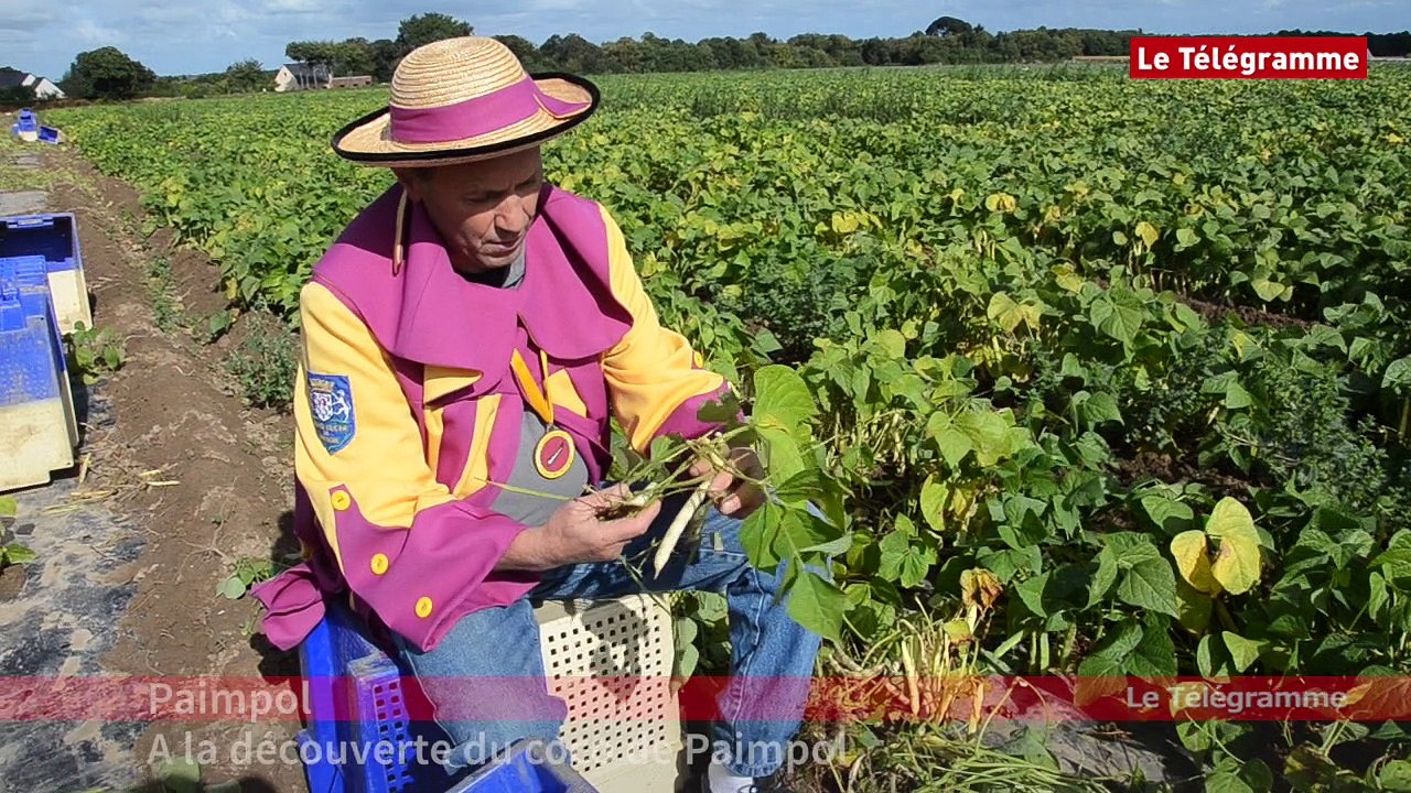 Journées du patrimoine. La 33e édition en Bretagne