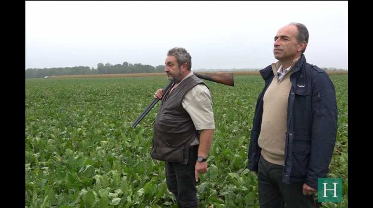 Jean-François Copé à la chasse: "J'ai connu un phénomène de meute"