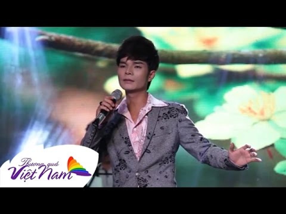 Chuyện Tình Hoa Mai - Ân Thiên Vỹ  [Official]