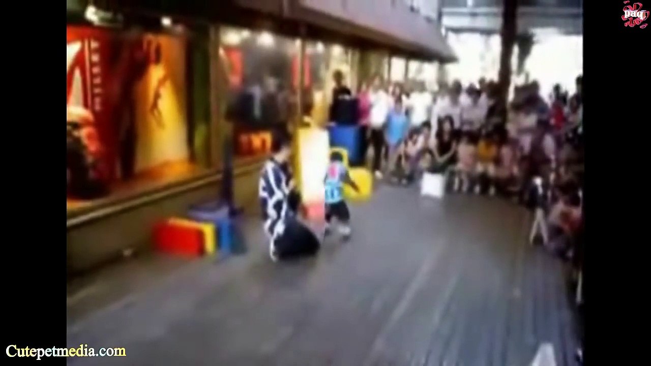 MONKEYS  Funny Monkey Videos [Funny Pets]