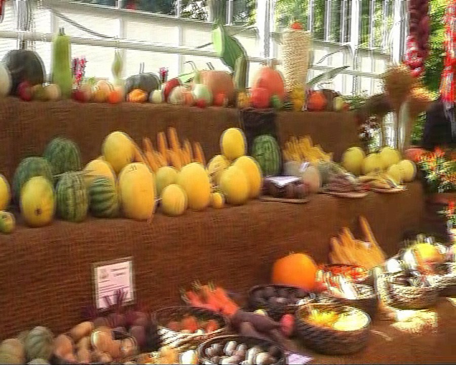 Аптекарский огород