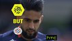 But Ryad BOUDEBOUZ (67ème pen) / Montpellier Hérault SC - OGC Nice - (1-1) - (MHSC-OGCN) / 2016-17